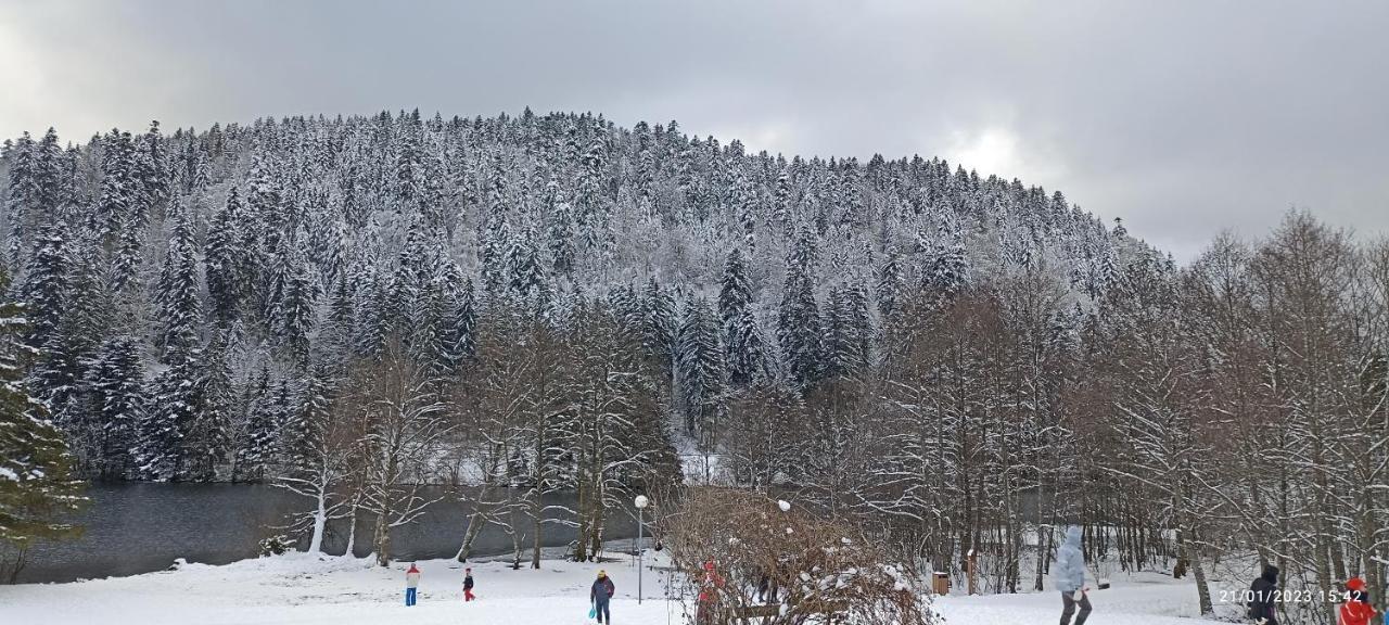 A 2 Pas Du Lac Διαμέρισμα Xonrupt-Longemer Εξωτερικό φωτογραφία