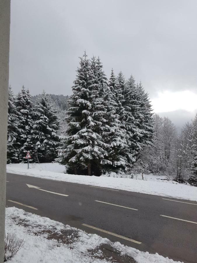 A 2 Pas Du Lac Διαμέρισμα Xonrupt-Longemer Εξωτερικό φωτογραφία