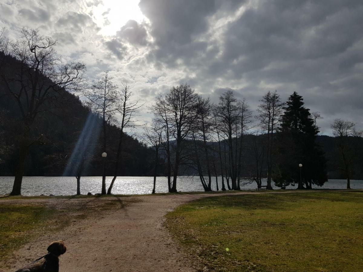 A 2 Pas Du Lac Διαμέρισμα Xonrupt-Longemer Εξωτερικό φωτογραφία