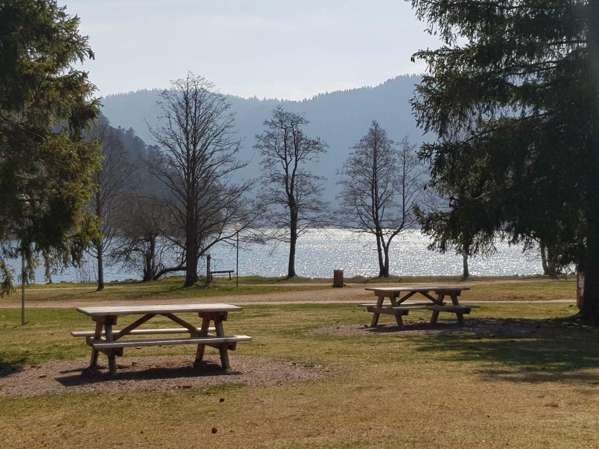 A 2 Pas Du Lac Διαμέρισμα Xonrupt-Longemer Εξωτερικό φωτογραφία